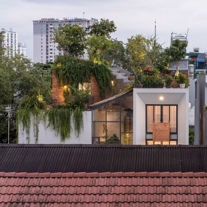 Nhìn từ xa, ngôi nhà phố trông giống như một công viên cây xanh với đầy đủ các loại thực vật vùng nhiệt đới.
