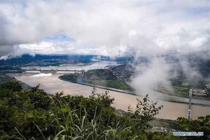  Ảnh: Tân Hoa Xã