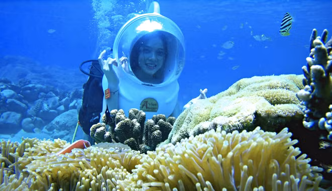 "Đi bộ dưới đáy biển" ngắm san hô trong vịnh Nha Trang. Ảnh: V.A