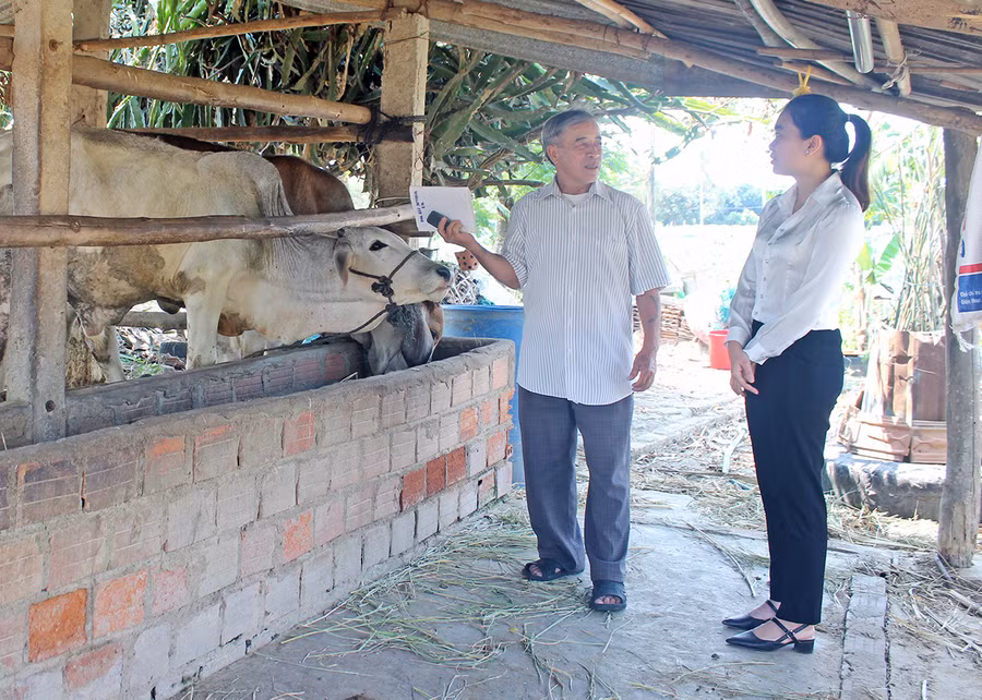  Ông Hồ Ngọc Yển-Tổ trưởng Tổ vay vốn thôn 3 (xã Thành An, thị xã An Khê) trao đổi với cán bộ tín dụng phụ trách địa bàn. Ảnh: T.D