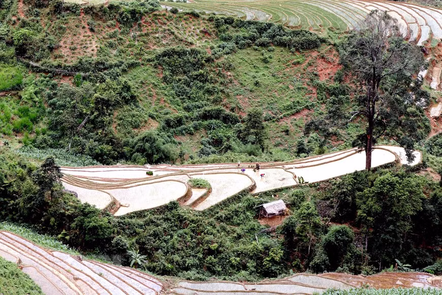 Ruộng bậc thang - bức tranh nghệ thuật nơi vùng núi Sơn La ảnh 3 Ruộng bậc thang - bức tranh nghệ thuật nơi vùng núi Sơn La ảnh 3