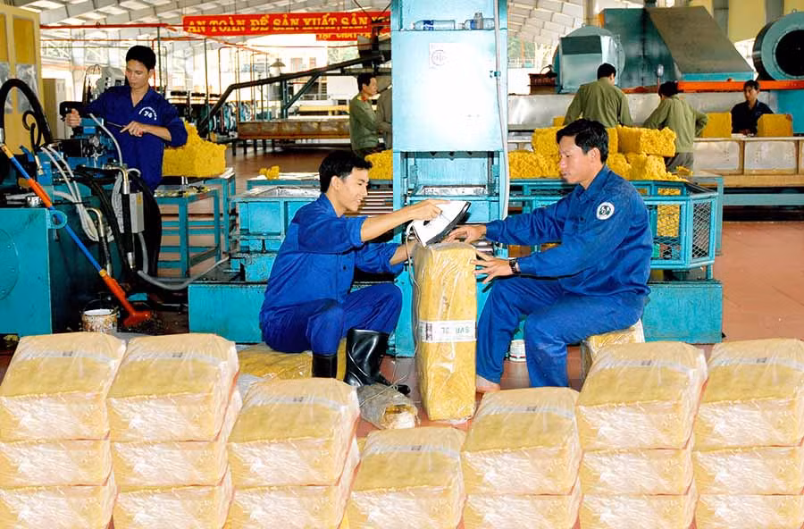 Giá mủ cao su giảm mạnh đã ảnh hưởng rất lớn đến hoạt động sản xuất kinh doanh của nhiều doanh nghiệp trên địa bàn tỉnh. Ảnh: internet