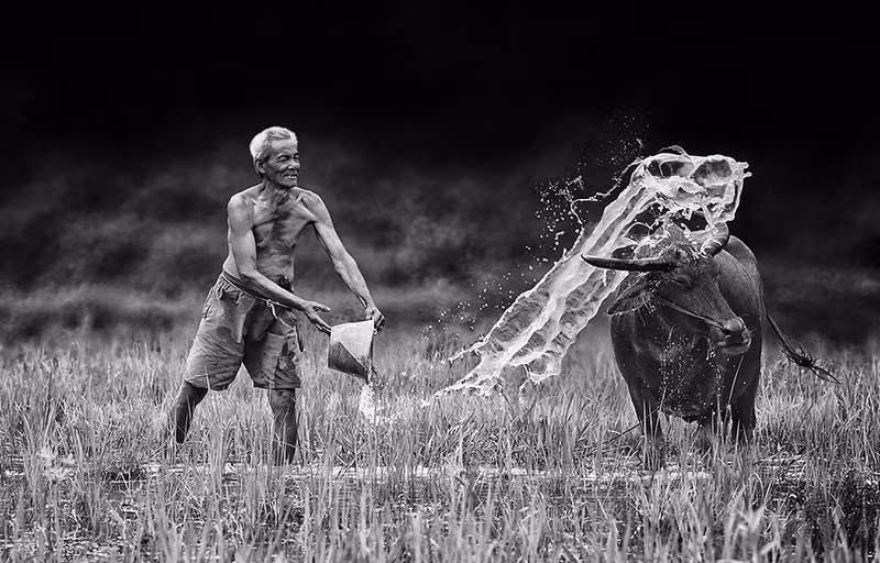 “Điều tuyệt vời nhất là tôi có thể tiếp xúc trực tiếp với họ, cảm nhận niềm vui, cuộc sống của họ, tôi cảm thấy vinh dự khi chụp họ”.