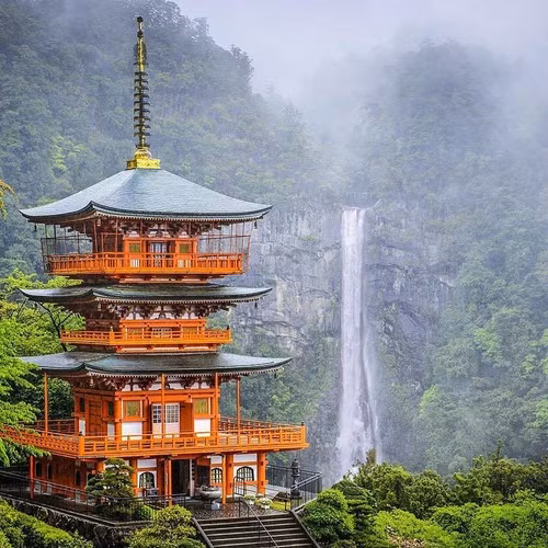  Chùa Seiganto-ji là ngôi chùa thuộc tỉnh Wakayama, được sáng lập bởi nhà sư người Ấn. Ngôi chùa nằm trong khu rừng nguyên sinh của Kumano, khu vực ngập tràn những truyền thuyết huyền bí, nhìn ra thác nước lớn nhất của Nhật Bản, Nachi-no Taki. Ảnh: Japan Travel.