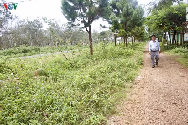 Theo cam kết đầu tư năm 2006 tại khu dân cư Phú An, khu cỏ dại mọc này chính là hoa viên, đường đất là đường nhựa. Nhưng tới nay hạ tầng này chưa hoàn thiện