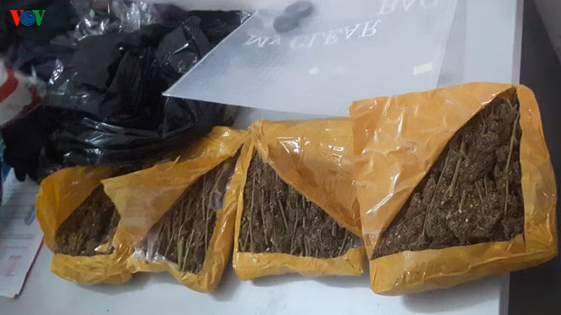  Gói hàng ma túy từ Cần Thơ chuyển về Đà Nẵng
