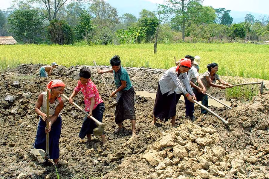  Người dân xã Chư Krêy (huyện Kông Chro) làm đất sản xuất. Ảnh: Đ.T