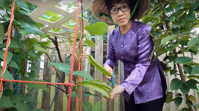 Nghệ sĩ cải lương Phương Hồng Thủy chia sẻ khoảnh khắc hạnh phúc tuổi xế chiều khi đích thân chăm sóc vườn tược, vun vén hạnh phúc gia đình. Ảnh: Chụp màn hình