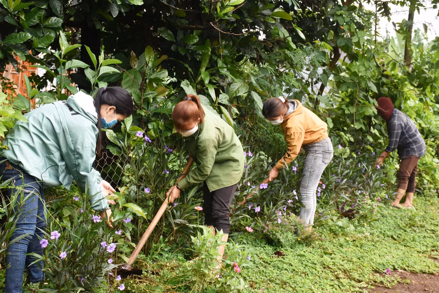 Phụ nữ làng Lê Ngol (xã Ia Tiêm, huyện Chư Sê) tham gia trồng cây xanh. Ảnh: Trần Dung Phụ nữ làng Lê Ngol (xã Ia Tiêm, huyện Chư Sê) tham gia trồng cây xanh. Ảnh: Trần Dung