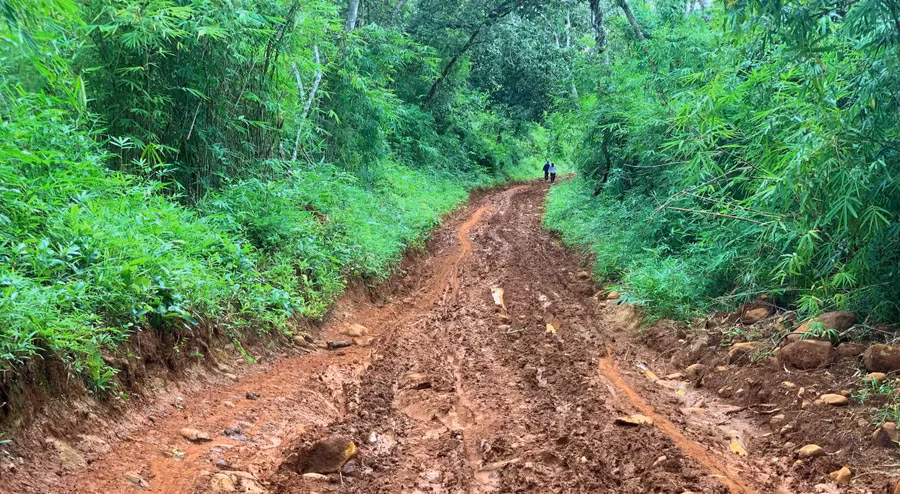 Đường vào buôn Lách Ló, xã Nam Ka (huyện Lắk) - nơi đứng chân điểm Trường Tiểu học Nơ Trang Lơng.