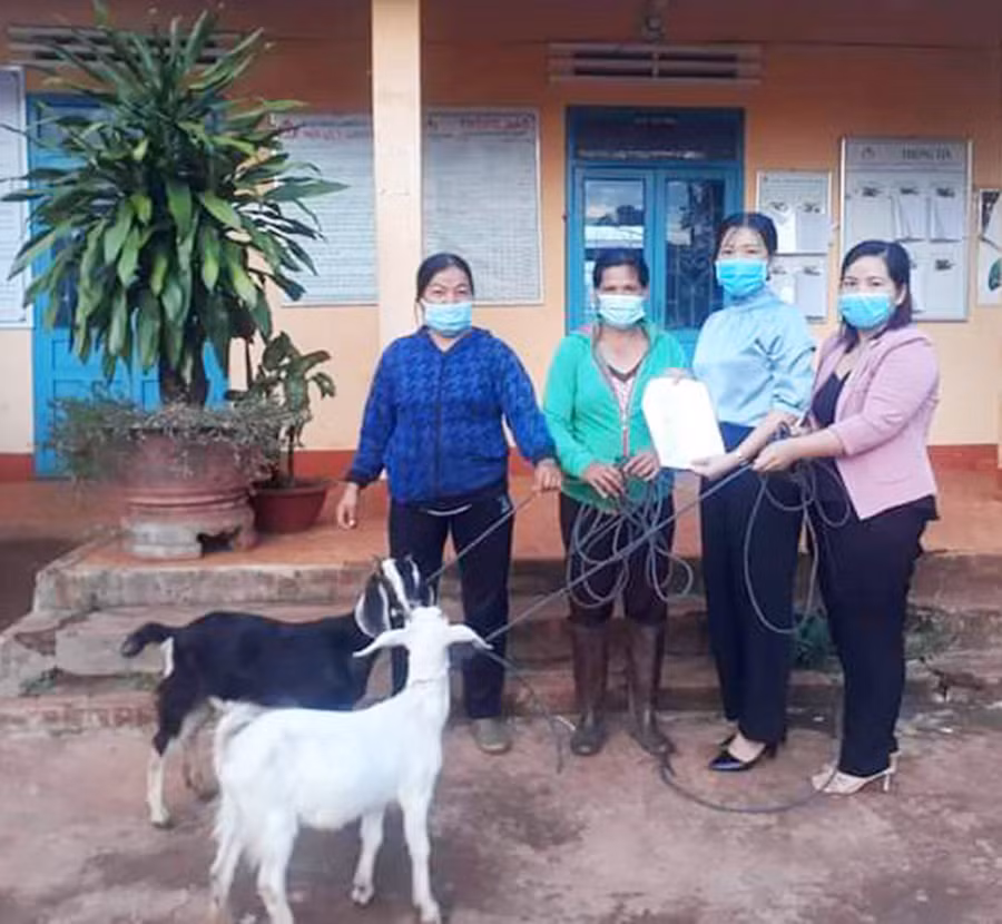  Chị Hoa (thứ 2 từ trái sang) được hỗ Hội LHPN xã Ia Hlốp (huyện Chư Sê) hỗ trợ cặp dê sinh sản để phát triển chăn nuôi. Ảnh: Quang Tấn