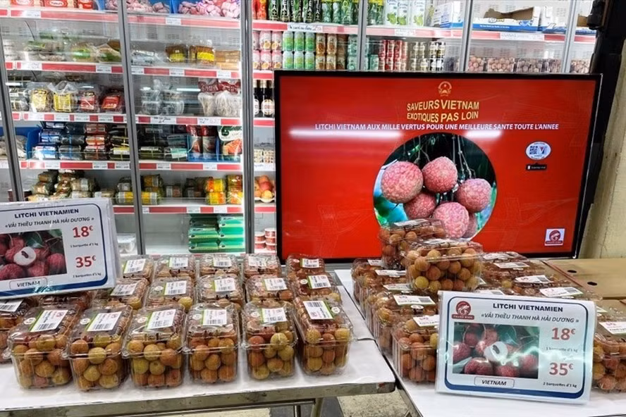  Vải thiều Việt Nam được bán với giá cao ở Pháp, nhưng nông sản Việt chỉ là 1% trong tỉ trọng nhập khẩu nông sản của EU. Ảnh: Minh Thuý