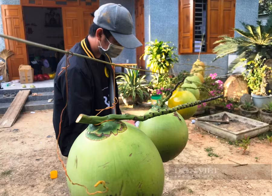  Anh Nguyễn Hữu Cung Tiến đang phun sơn trang trí quả dừa để kịp cung cấp cho khách hàng. Ảnh: C.T