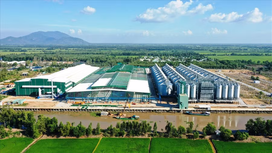 Nhà máy gạo Hạnh Phúc có công suất 1.000 tấn gạo thành phẩm/ngày. Ảnh: T.Long