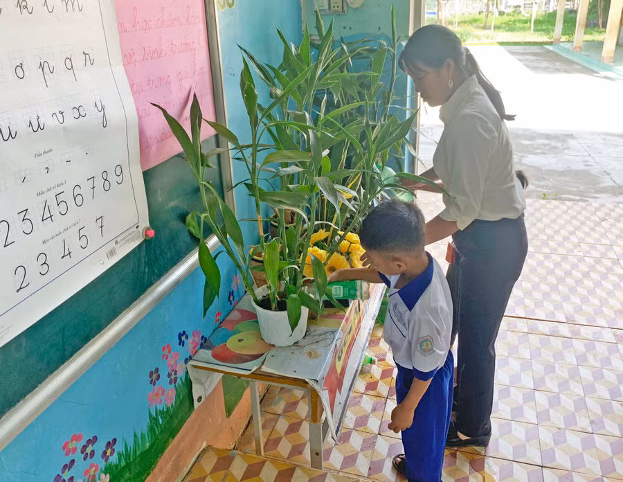 Cô và trò lớp 1C (điểm trường thôn Plei Du, Trường Tiểu học Võ Thị Sáu, xã Chư Răng) cùng nhau chăm sóc Góc thiên nhiên được thiết kế đơn giản tại lớp học.Ảnh.Vũ Chi