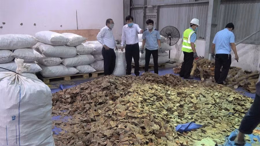 Lực lượng hải quan thực hiện khám xét, kiểm đếm tại cảng Tiên Sa. Ảnh: Nguyễn Tú