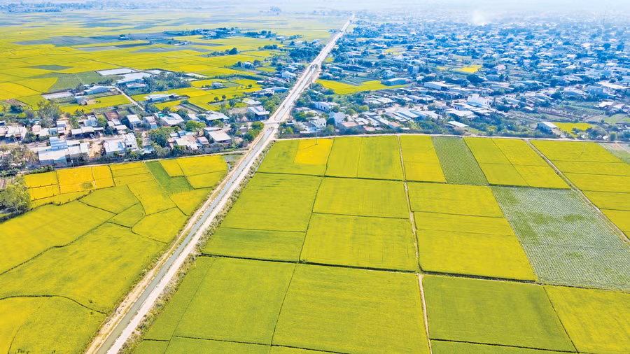 Không gian nông nghiệp huyện Phú Thiện được ví như một tiểu đồng bằng trên Tây Nguyên. Ảnh: Hoàng Ngọc