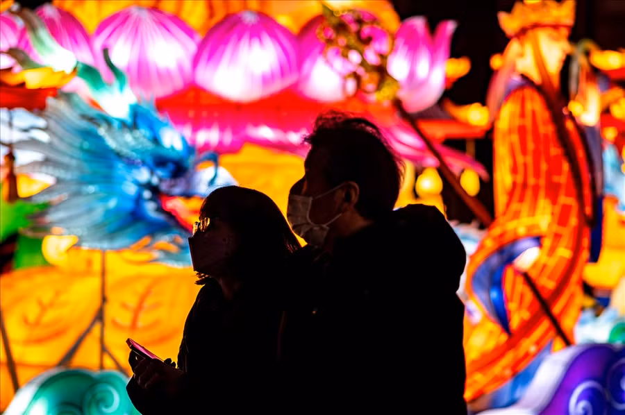  Đèn lồng trang trí tại Công viên Yamashitacho ở Yokohama, Nhật Bản từ giữa tháng 1, trước Tết Nguyên đán Nhâm Dần. Ảnh: AFP
