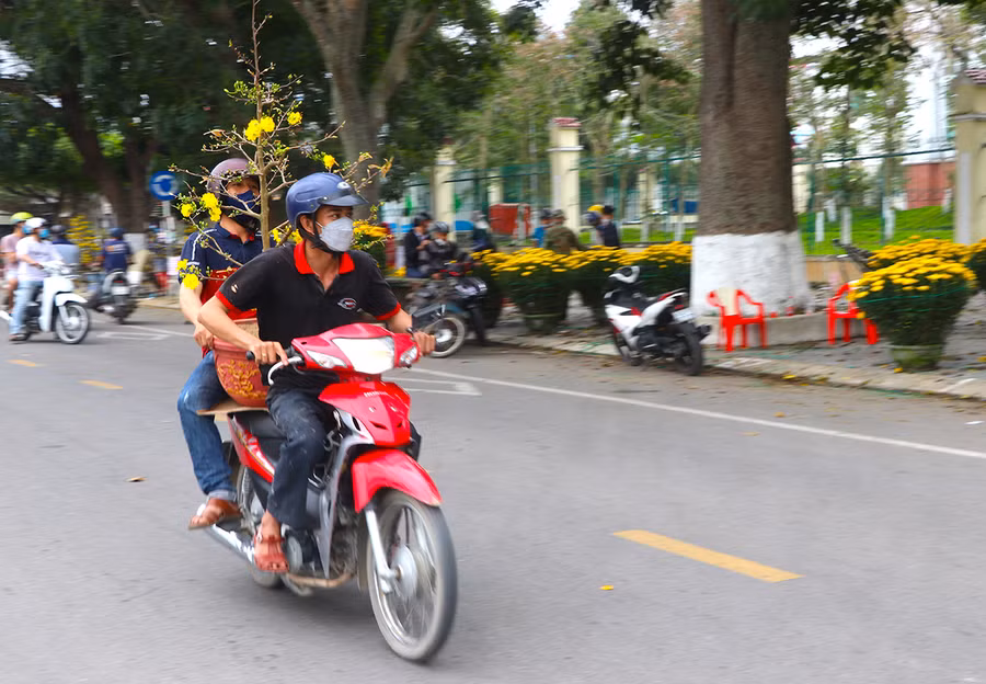 Chuẩn bị kết thúc năm cũ, tại chợ hoa An Khê (thị xã An Khê) nhiều người vội vã chở sắc xuân về nhà. Ảnh: Ngọc Minh 