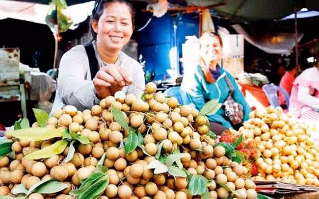 Một thương nhân bày bán trái nhãn tại Phnom Penh, Campuchia. (Ảnh: Phnom Penh Post).