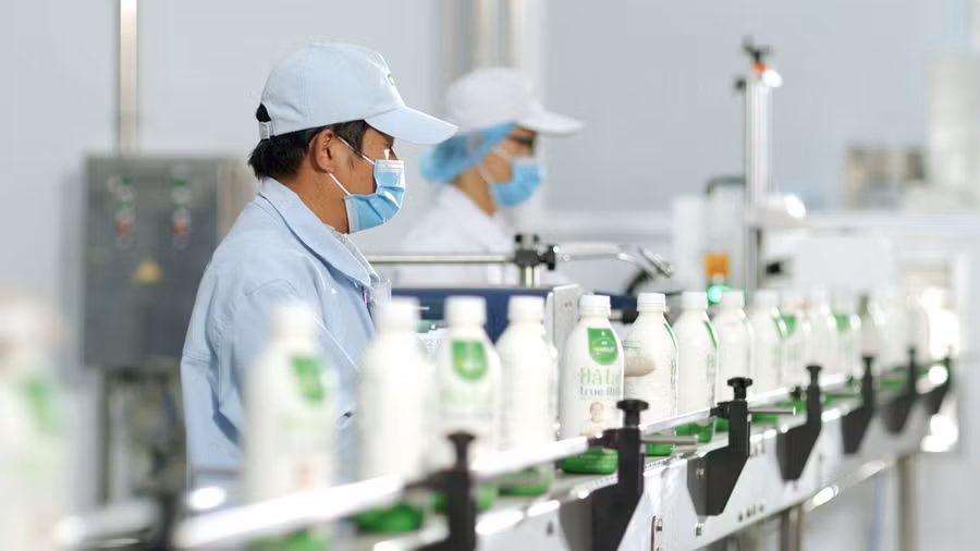 Nhà máy sữa VPMilk 20 triệu lít/ năm đi vào vận hành. Ảnh: LV