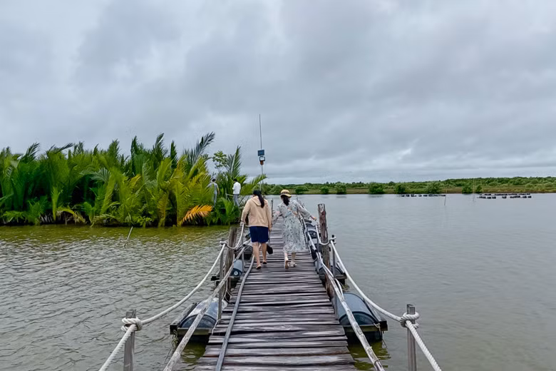 Chiếc cầu phao dẫn vào các khu vực rừng dừa, đước, bần, mắm của Nông trại sinh thái Người Giữ Rừng 