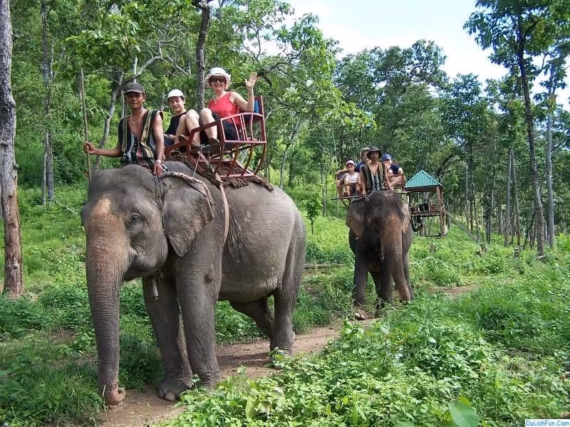 Vườn quốc gia Yok Đôn. Ảnh: Du lịch fun
