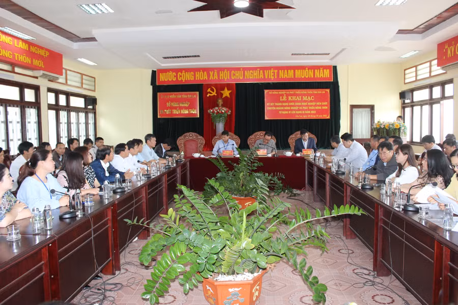 Quang cảnh buổi khai mạc xét thăng hạng.Ảnh: Nguyễn Diệp