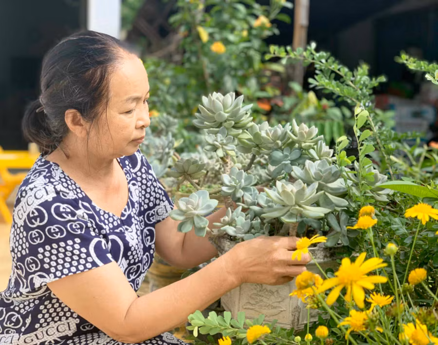 Bà Võ Thị Thanh Thủy (phường Yên Thế, TP. Pleiku) chăm sóc cây cảnh. Ảnh: Nhật Hào