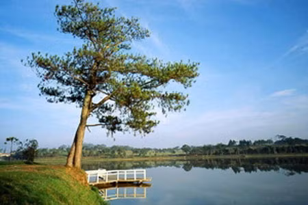 Hồ Xuân Hương. 