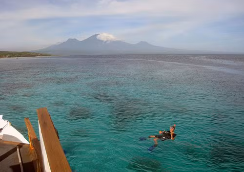 Menjangan, Indonesia