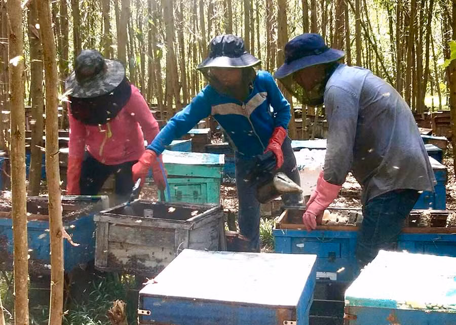  Công ty TNHH một thành viên Mật ong T-BEE (huyện Chư Pah) chỉ giữ lại một số ít lao động làm việc trong mùa dịch Covid-19. Ảnh: K.L