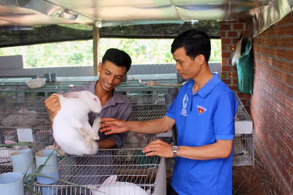 Anh Trần Văn Thế (bìa trái) chia sẻ kinh nghiệm nuôi thỏ cho cán bộ Đoàn xã Ia Bă. Ảnh: T.B