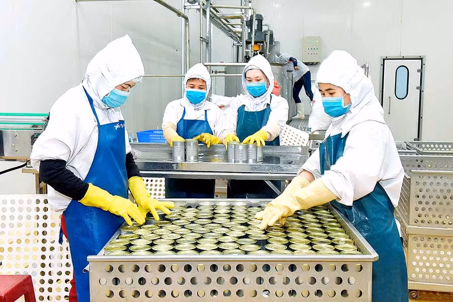 Công nhân làm việc tại Trung tâm chế biến rau quả DOVECO Gia Lai. Ảnh: Đ.T