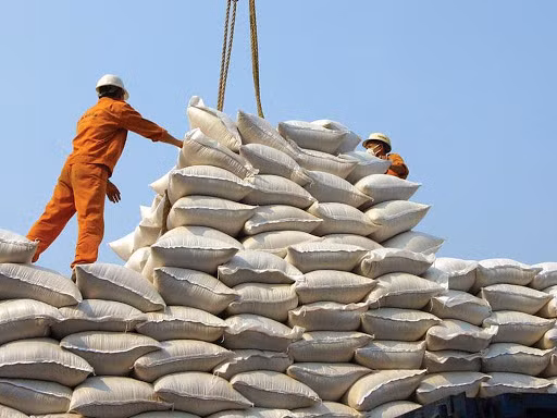 Văn phòng Chính phủ vừa có văn bản truyền đạt ý kiến của Phó Thủ tướng Trịnh Đình Dũng yêu cầu Bộ Tài chính, Công Thương báo cáo về việc mở tờ khai hải quan lúc nửa đêm và tình hình xuất khẩu gạo. Ảnh: I.T