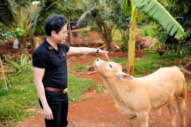 Khu vườn mà Ngọc Sơn được tặng không chỉ có đủ loại cây ăn trái như sầu riêng, mít, bơ, chuối… mà còn rất nhiều loại rau củ quả. Đặc biệt, ở giữa khu đất còn có một con suối lớn đầy cá. ẢNH: TỬ VĂN Khu vườn mà Ngọc Sơn được tặng không chỉ có đủ loại cây ăn trái như sầu riêng, mít, bơ, chuối… mà còn rất nhiều loại rau củ quả. Đặc biệt, ở giữa khu đất còn có một con suối lớn đầy cá. ẢNH: TỬ VĂN