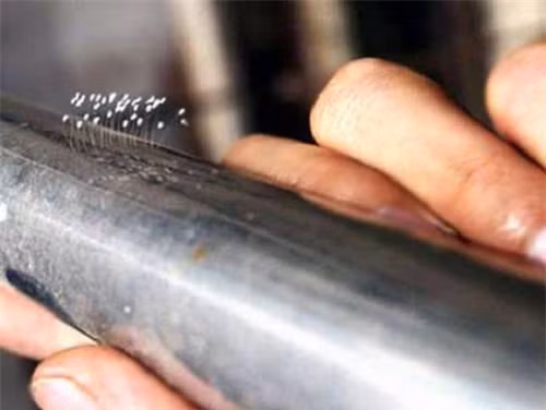 Hình ảnh hoa ưu đàm xuất hiện trên thanh sắt được phát hiện tại Hàn Quốc. Hình ảnh hoa ưu đàm xuất hiện trên thanh sắt được phát hiện tại Hàn Quốc.