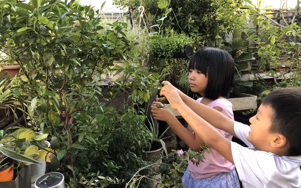 Một khu vườn nhỏ trên sân thượng hay góc lan can, đơn giản nhưng “ẩn giấu” nhiều hạnh phúc - Ảnh: Đ.N.