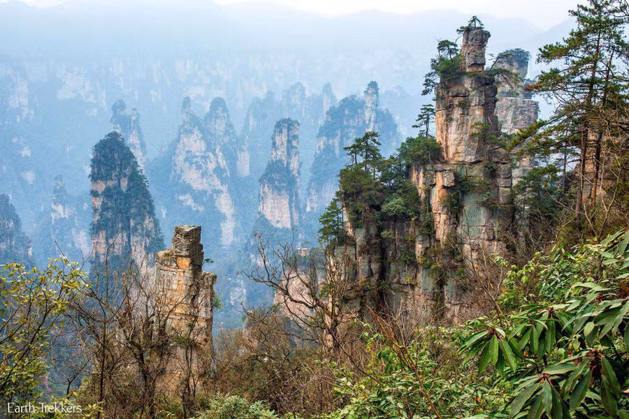 Những 