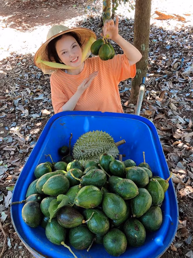 Trong thời gian tránh dịch, Lý Nhã Kỳ về quê chăm sóc khu vườn của mình tại tỉnh Bà Rịa-Vũng Tàu. Được biết, mảnh vườn 1 hecta của cô được mua lại để tận tay chăm sóc, thu hoạch và sử dụng trái cây sạch, không lo lắng về hóa chất độc hại. ẢNH: FBNV Trong thời gian tránh dịch, Lý Nhã Kỳ về quê chăm sóc khu vườn của mình tại tỉnh Bà Rịa-Vũng Tàu. Được biết, mảnh vườn 1 hecta của cô được mua lại để tận tay chăm sóc, thu hoạch và sử dụng trái cây sạch, không lo lắng về hóa chất độc hại. ẢNH: FBNV