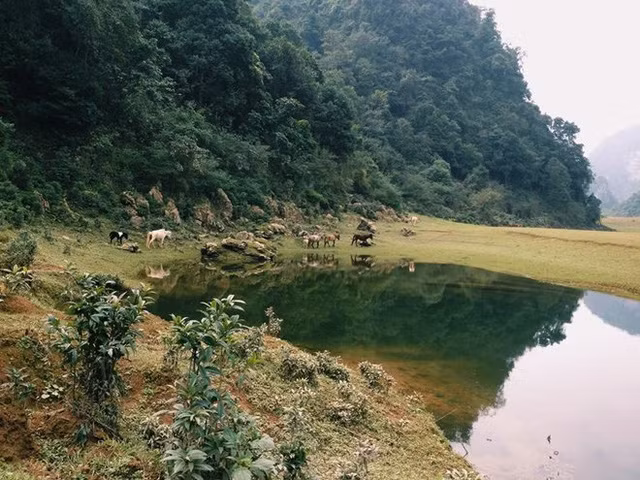 Một Tuyệt tình cốc đẹp, lạ đang thu hút phượt thủ đến huyện Trà Lĩnh - Cao Bằng. (Ảnh: Internet)