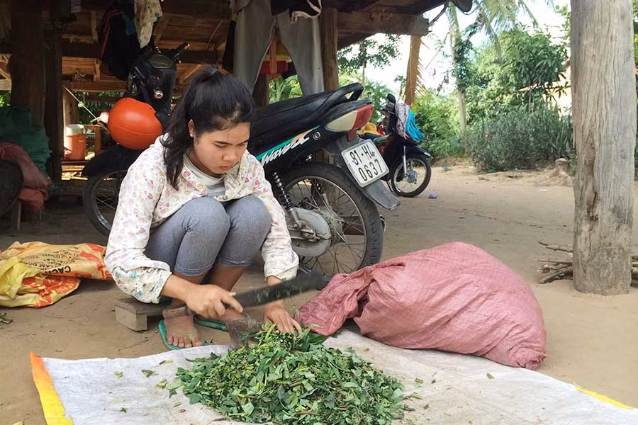 Sinh viên tốt nghiệp sư phạm với tấm bằng loại ưu Nay H’Bim về làm nông. Ảnh: Như Loan