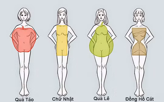 Các kiểu dáng người