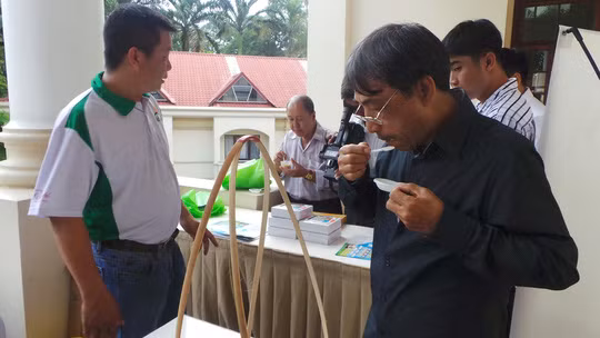 Người dân dùng thử loại gạo mầm mới có chứa dược chất quý vừa được công bố.