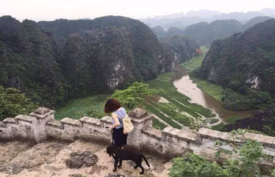 Nhiều người đã không ngớt lời khen MV của Hoàng Thùy Linh khi khoe được những thắng cảnh tuyệt vời của Việt Nam, những thắng cảnh khiến bất cứ ai cũng phải ngẩn ngơ vì quá nên thơ. Nhiều người đã không ngớt lời khen MV của Hoàng Thùy Linh khi khoe được những thắng cảnh tuyệt vời của Việt Nam, những thắng cảnh khiến bất cứ ai cũng phải ngẩn ngơ vì quá nên thơ.