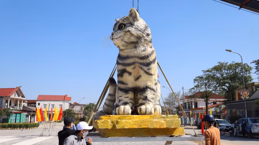 Chủ tịch UBND thị trấn Ái Tử cho biết đây là hình mẫu chú mèo tam thể thuần Việt. Ảnh: Bảo Khánh