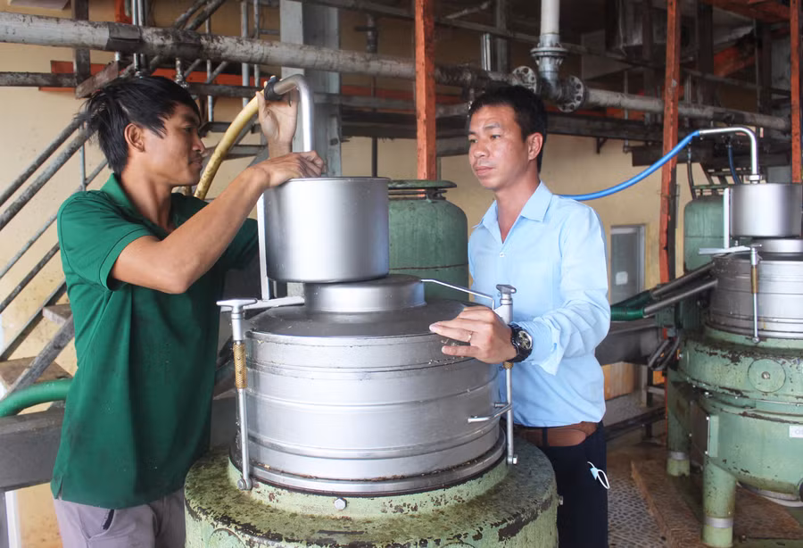 Anh Đoàn Cao Khải (bìa phải) cùng đồng nghiệp kiểm tra quá trình đánh đông mủ skim. Ảnh: Minh Nhật