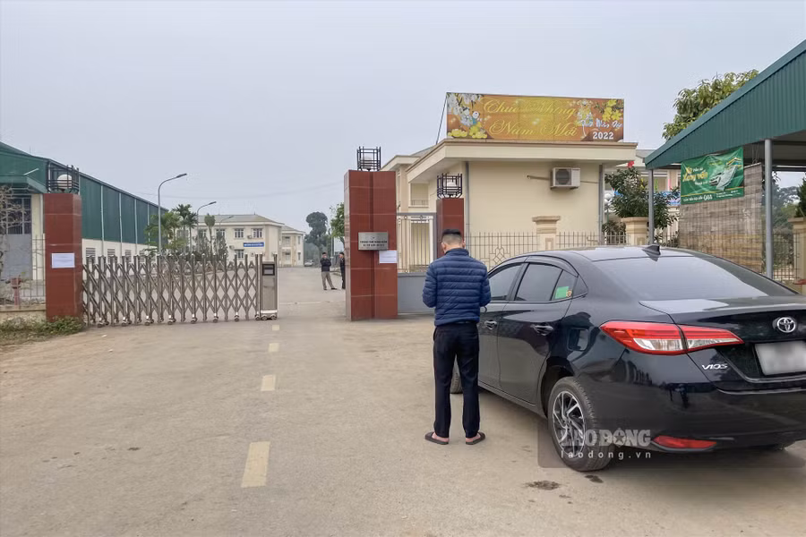 Nhiều tài xế 