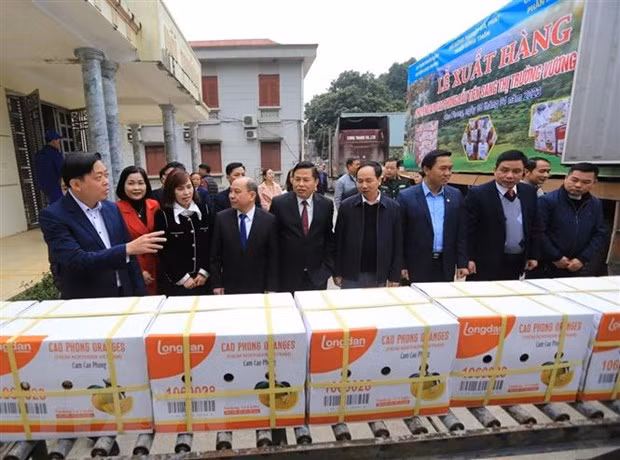 Các đại biểu tham quan dây chuyền vận chuyển sản phẩm cam Cao Phong tại Công ty Trách nhiệm hữu hạn Một thành viên&nbsp;Cao Phong. (Ảnh: Trọng Đạt/TTXVN)