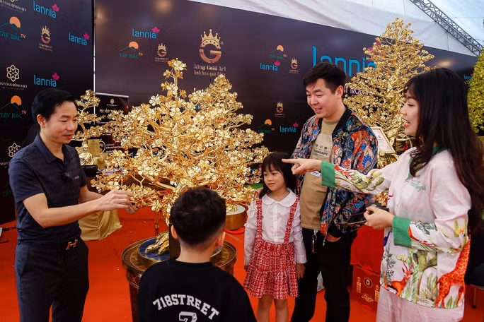 - Ngoài cây mai 